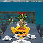Bonella * Novigrad (Dalmatia)